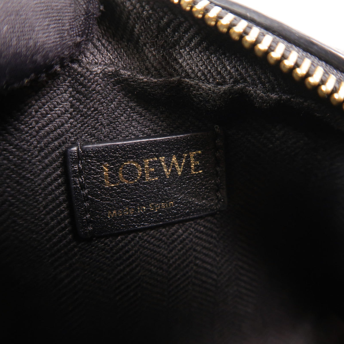 Loewe Amazona Nano · Anagram Canvas