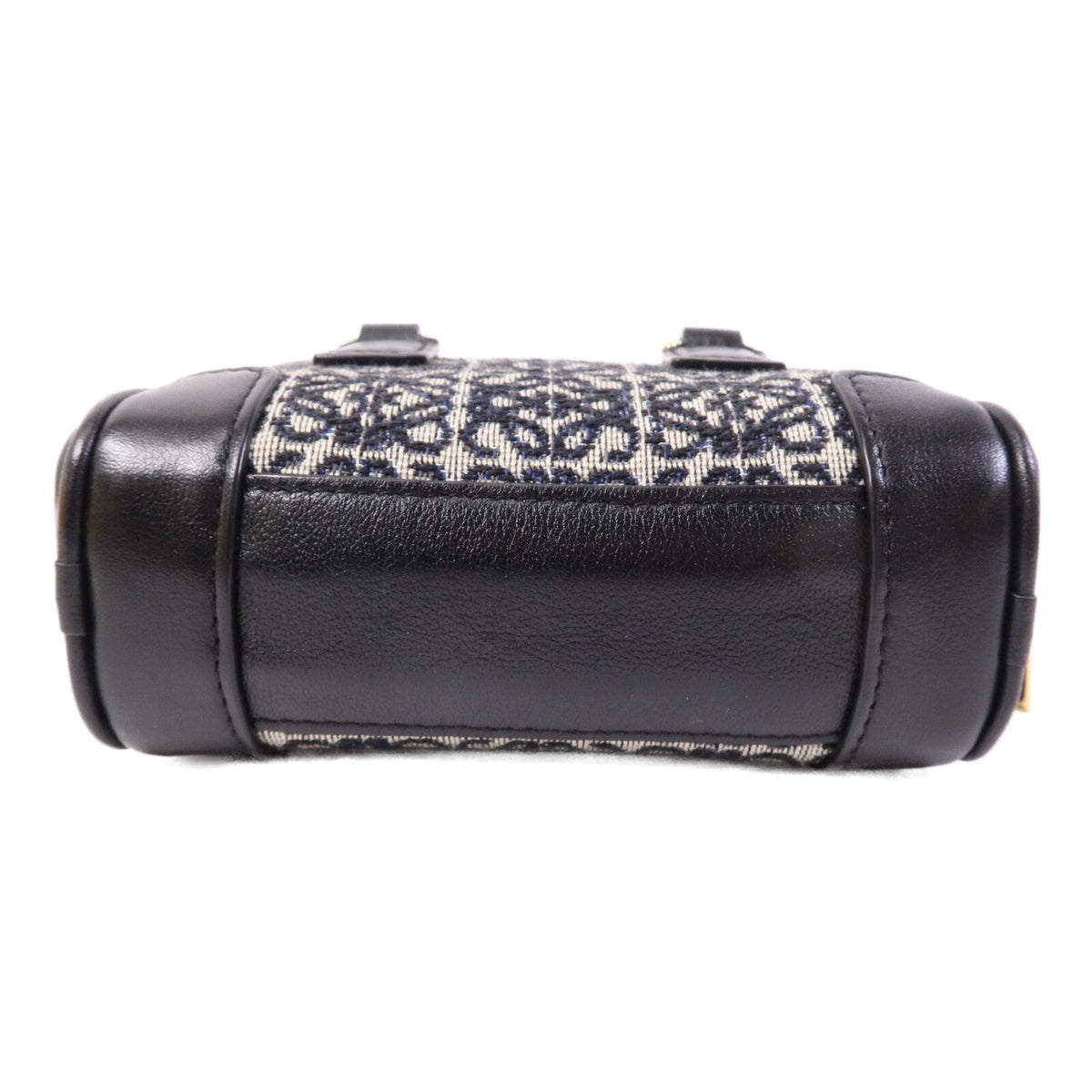 Loewe Amazona Nano · Anagram Canvas