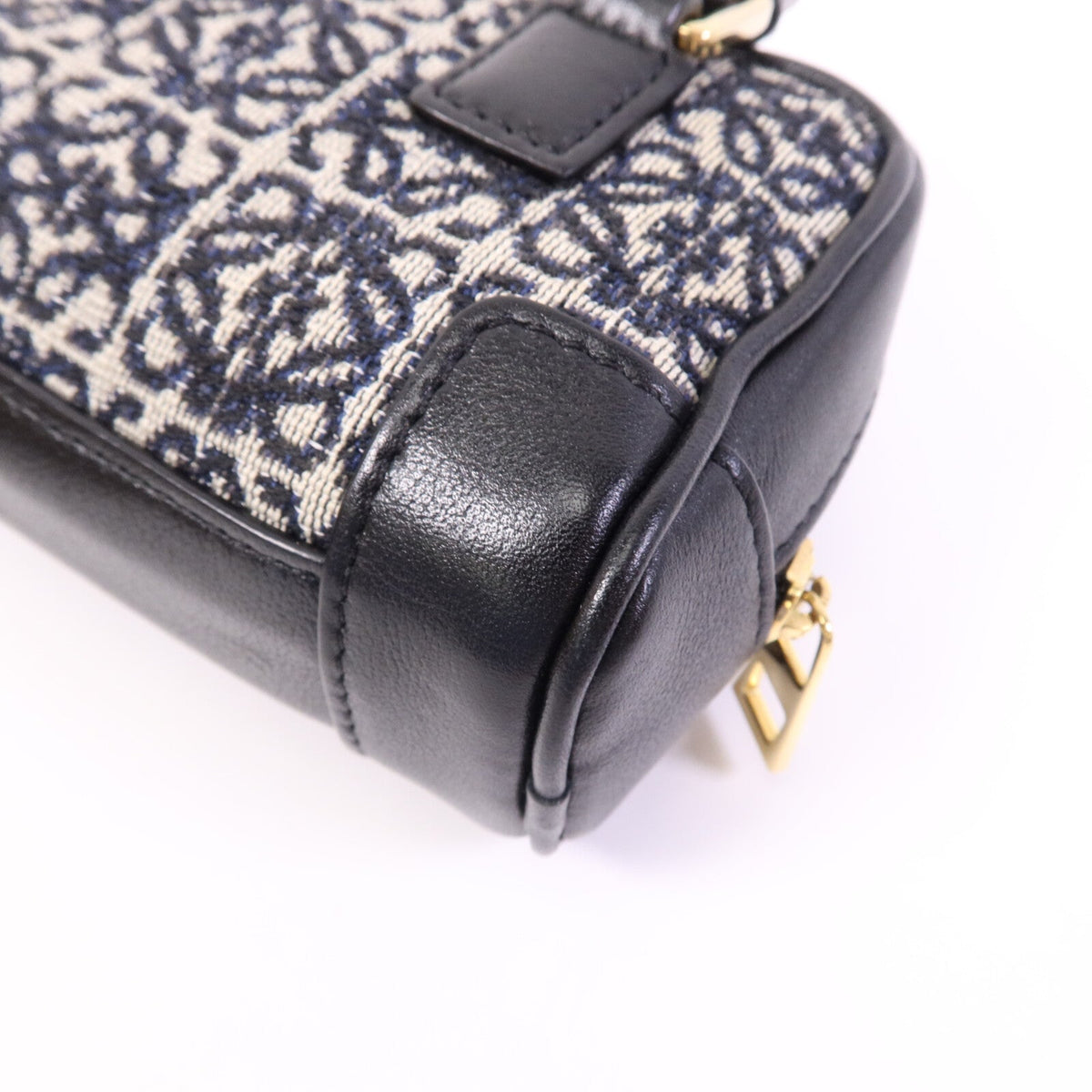 Loewe Amazona Nano · Anagram Canvas