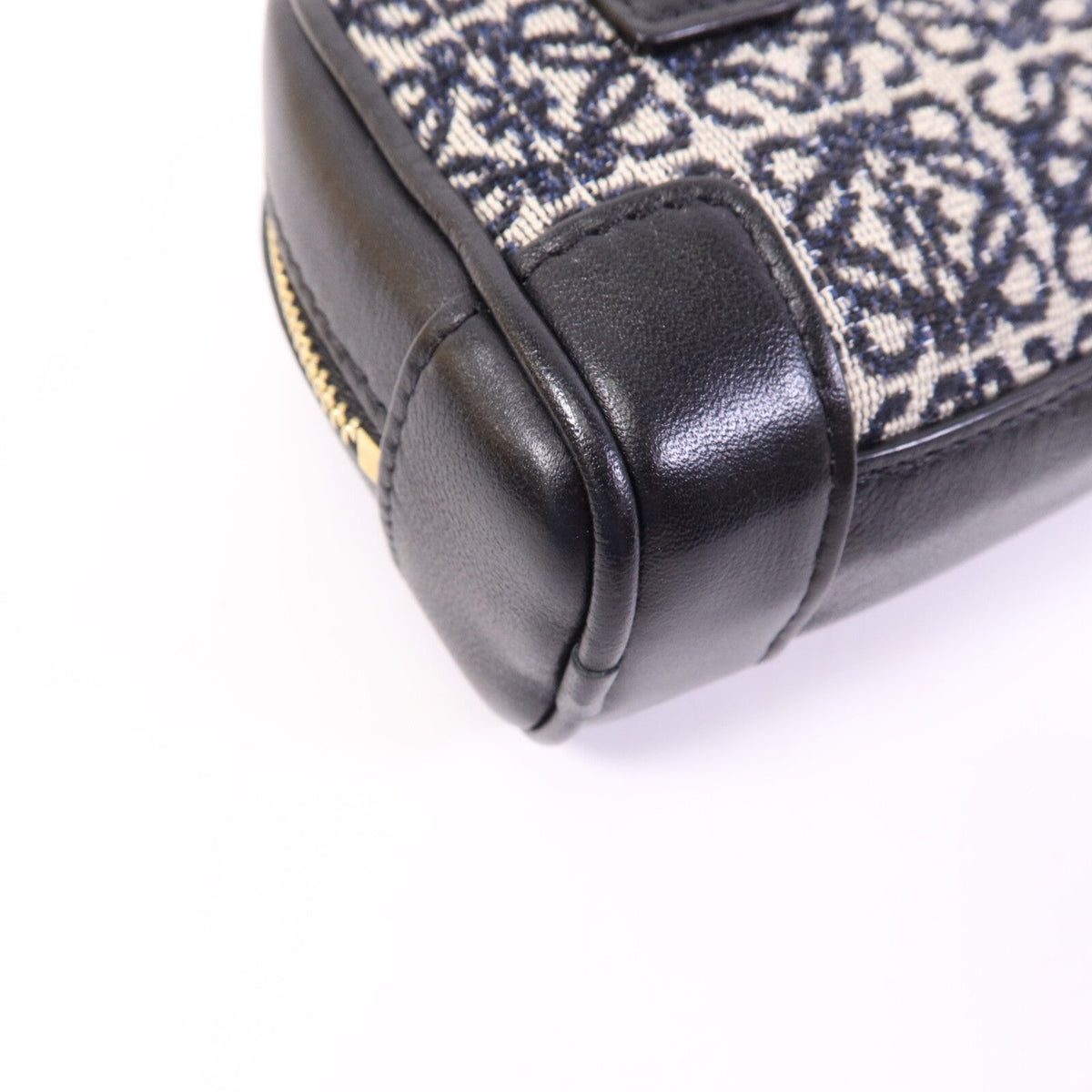 Loewe Amazona Nano · Anagram Canvas