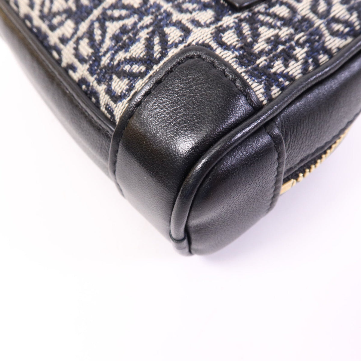Loewe Amazona Nano · Anagram Canvas