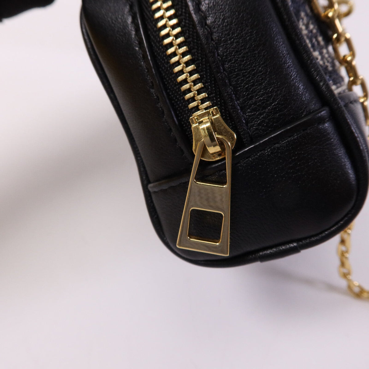 Loewe Amazona Nano · Anagram Canvas