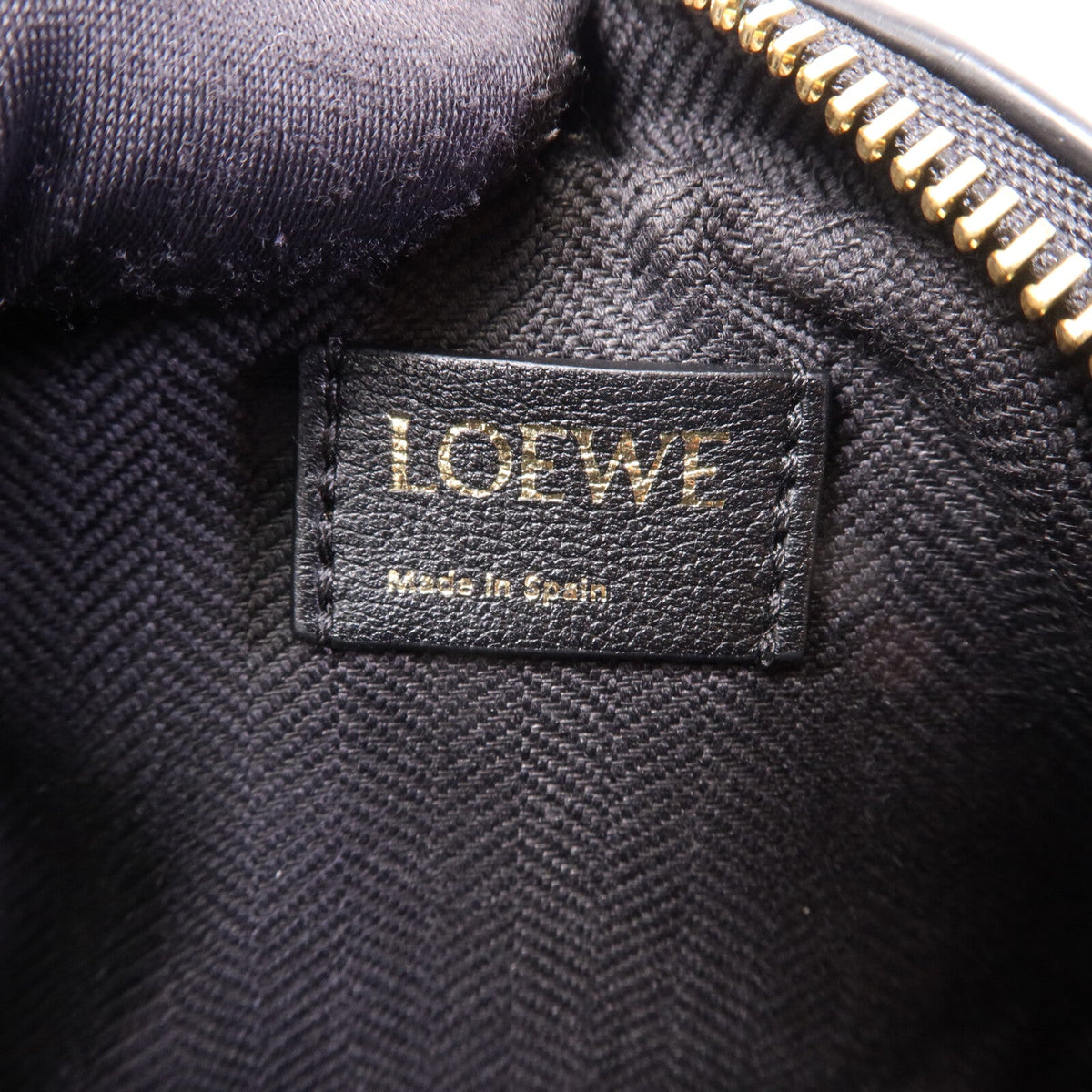 Loewe Amazona Nano · Anagram Canvas