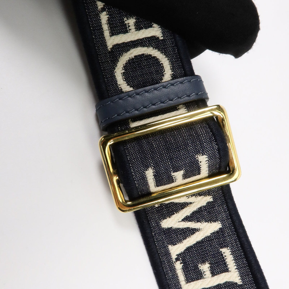 Loewe Mini Gate · Calfskin