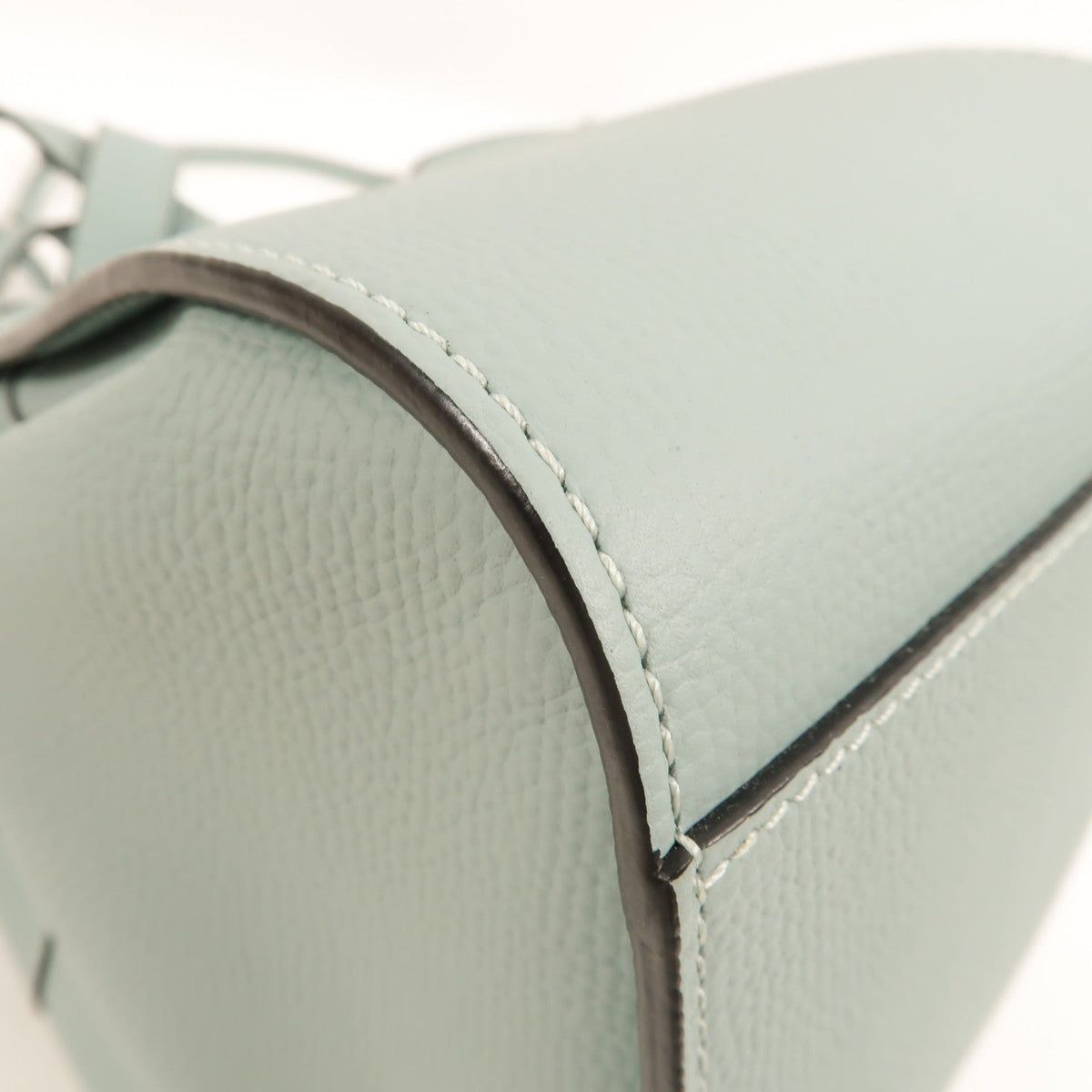 Loewe Hammock Mini · Calfskin