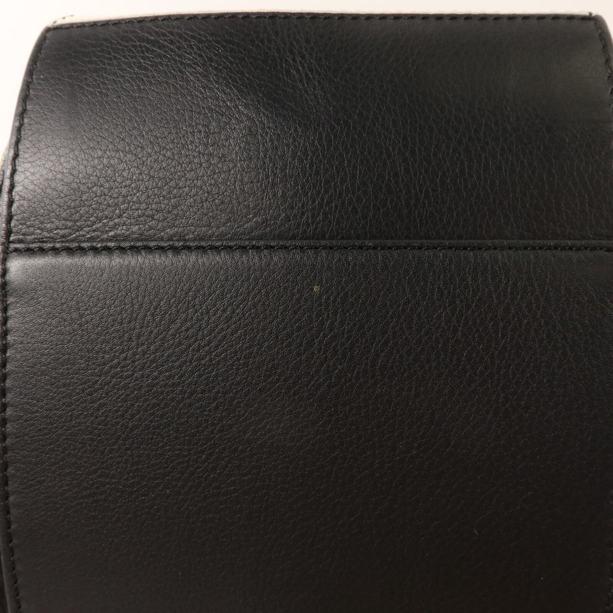 Loewe Hammock Marine · Calfskin