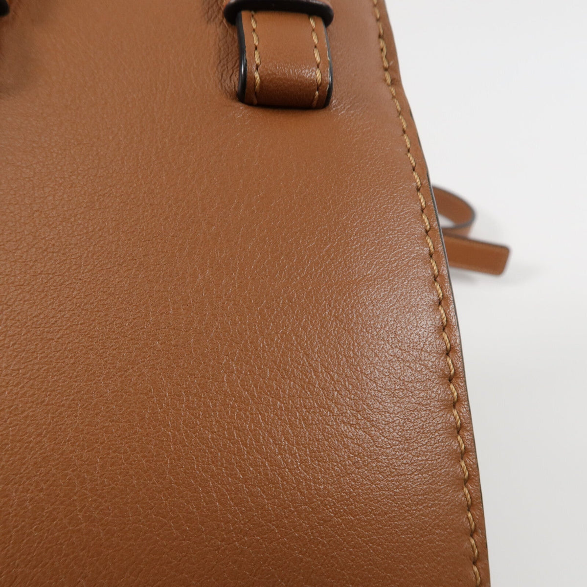 Loewe Hammock Mini · Canvas & Calfskin