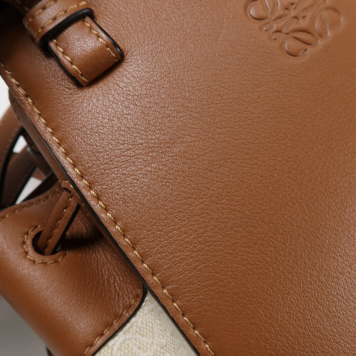 Loewe Hammock Mini · Canvas & Calfskin