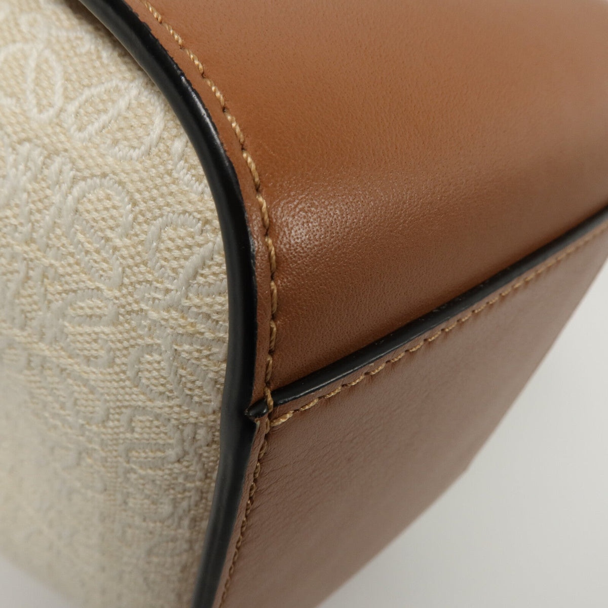 Loewe Hammock Mini · Canvas & Calfskin
