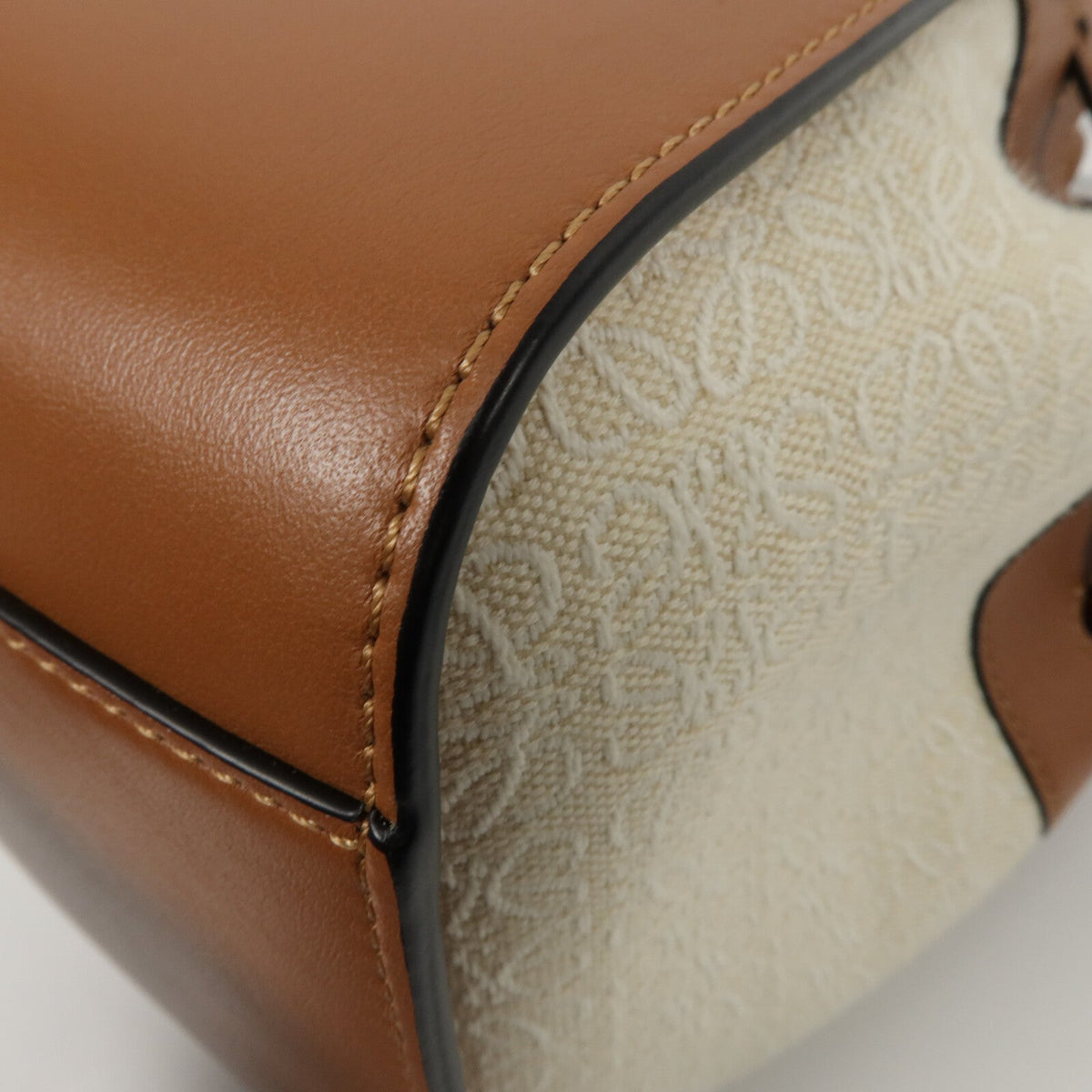 Loewe Hammock Mini · Canvas & Calfskin
